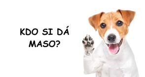 Barfování